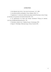 Prancūzijos partinė sistema 11 puslapis