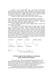 Prekė ir eksporto prekinė politika 11 puslapis