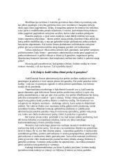 Prekė ir eksporto prekinė politika 15 puslapis