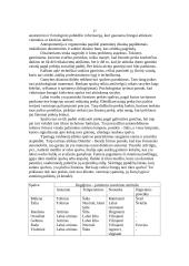 Prekė ir eksporto prekinė politika 17 puslapis