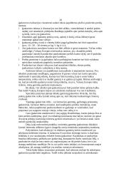 Prekė ir eksporto prekinė politika 20 puslapis