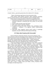 Prekė ir eksporto prekinė politika 6 puslapis