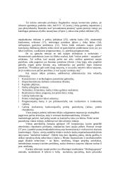 Prekė ir eksporto prekinė politika 7 puslapis