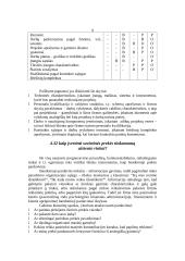 Prekė ir eksporto prekinė politika 9 puslapis