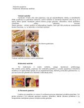 Prekės įpakavimas ir identifikavimas 13 puslapis