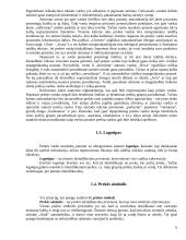 Prekės įpakavimas ir identifikavimas 4 puslapis