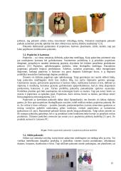 Prekės pakuotės ir dizaino marketingo sprendimai: jų įtaka prekės vertės formavimui 15 puslapis