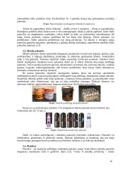 Prekės pakuotės ir dizaino marketingo sprendimai: jų įtaka prekės vertės formavimui 16 puslapis