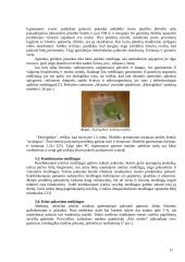 Prekės pakuotės ir dizaino marketingo sprendimai: jų įtaka prekės vertės formavimui 17 puslapis