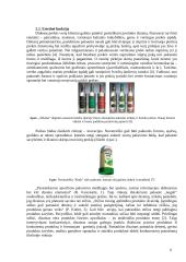 Prekės pakuotės ir dizaino marketingo sprendimai: jų įtaka prekės vertės formavimui 6 puslapis