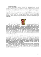 Prekės pakuotės ir dizaino marketingo sprendimai: jų įtaka prekės vertės formavimui 7 puslapis