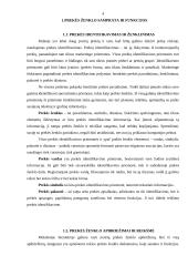 Prekės ženklo svarba 2 puslapis