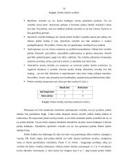 Prekės ženklo svarba 14 puslapis