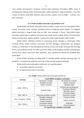 Prekės ženklo svarba 15 puslapis