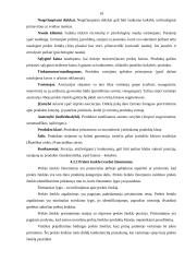 Prekės ženklo svarba 17 puslapis