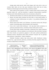 Prekės ženklo svarba 4 puslapis