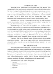 Prekės ženklo svarba 7 puslapis