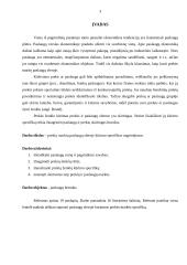 Prekės ženklas paslaugų sferoje 2 puslapis