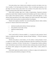 Prekės ženklas paslaugų sferoje 12 puslapis