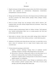 Prekės ženklas paslaugų sferoje 18 puslapis