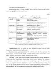 Prekės ženklas paslaugų sferoje 7 puslapis