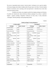 Prekės ženklo kūrimas 13 puslapis