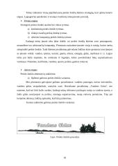 Prekės ženklo kūrimas 17 puslapis