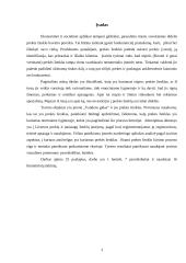 Prekės ženklo kūrimas 2 puslapis