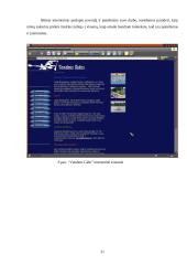 Prekės ženklo kūrimas 20 puslapis