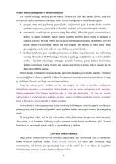 Prekės ženklo kūrimas 5 puslapis