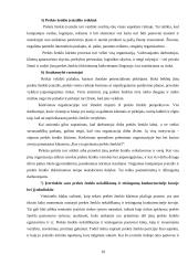 Prekės ženklo kūrimas 9 puslapis