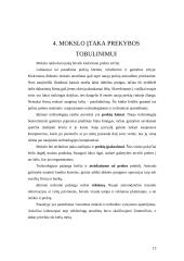 Prekybos įmonių rūšys ir funkcijos 13 puslapis