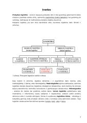 Prekybos logistikos esmė 3 puslapis