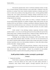 Prekinis ženklas 4 puslapis