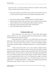 Prekinis ženklas 6 puslapis