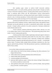 Prekinis ženklas 8 puslapis