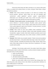 Prekinis ženklas 10 puslapis