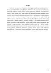 Prekių kodavimas. Brūkšniniai EAN ir kiti kodai 11 puslapis