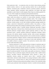 Prekių paskirstymo kanalų pasirinkimas 11 puslapis