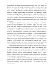 Prekių paskirstymo kanalų pasirinkimas 13 puslapis