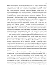 Prekių paskirstymo kanalų pasirinkimas 16 puslapis