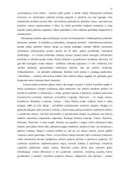 Prekių paskirstymo kanalų pasirinkimas 17 puslapis