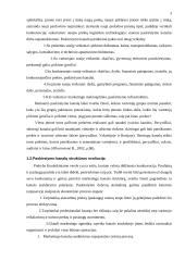 Prekių paskirstymo kanalų pasirinkimas 3 puslapis