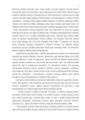 Prekių paskirstymo kanalų pasirinkimas 5 puslapis