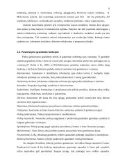 Prekių paskirstymo kanalų pasirinkimas 6 puslapis