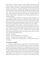 Prekių paskirstymo kanalų pasirinkimas 10 puslapis