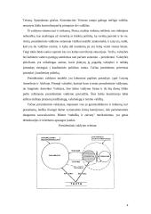 Prezidentinio ir pusiau prezidentinio valdymo lyginamoji analizė 4 puslapis