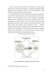 Prezidentinio ir pusiau prezidentinio valdymo lyginamoji analizė 6 puslapis