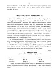 Pridėtinės vertės mokesčio (PVM) taikymas Lietuvoje ir Latvijoje 12 puslapis