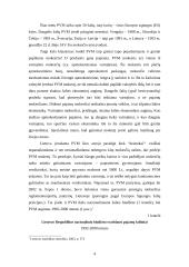 Pridėtinės vertės mokesčio išplėstinė charakteristika 2 puslapis